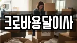 크로바용달이사