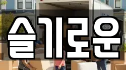 슬기로운