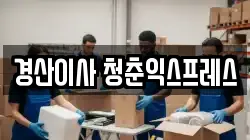 경산이사 청춘익스프레스