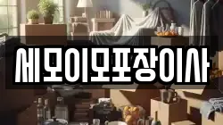 세모이모포장이사