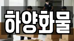 하양화물