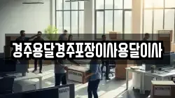 경주용달경주포장이사용달이사
