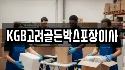 KGB고려골든박스포장이사
