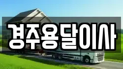 경주용달이사