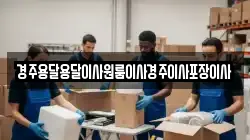 경주용달용달이사원룸이사경주이사포장이사