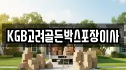 KGB고려골든박스포장이사