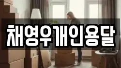 채영우개인용달