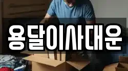 용달이사대운