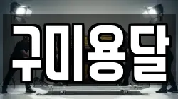 구미용달