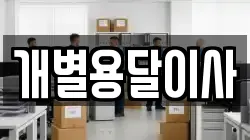 개별용달이사