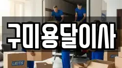구미용달이사