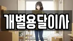 개별용달이사
