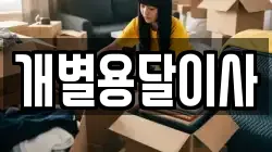 개별용달이사