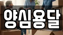 양심용달