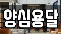 경북 영주시 봉현면 이사,포장이사,반포장이사,원룸이사,사무실이사,용달이사,전국이사,보관이사
