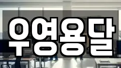 우영용달