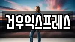 건우익스프레스
