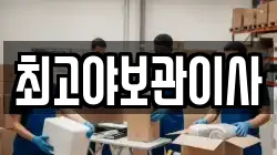 최고야보관이사