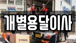 개별용달이사