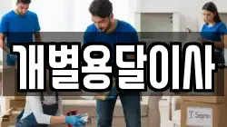 개별용달이사