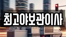 최고야보관이사