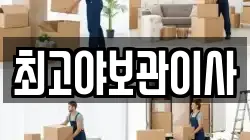 최고야보관이사