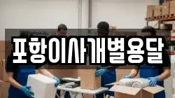 포항이사개별용달