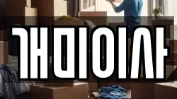 개미이사