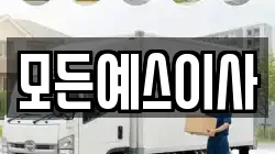 모든예스이사