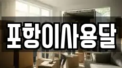 포항이사용달