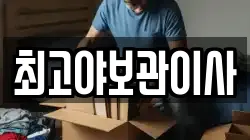 최고야보관이사