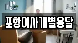 포항이사개별용달