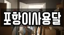 포항이사용달