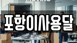 포항이사용달