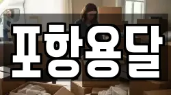 포항용달