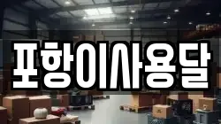 포항이사용달