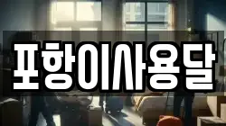 포항이사용달
