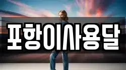 포항이사용달
