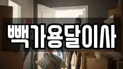 빽가용달이사