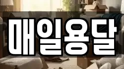 경상남도 거제시 능포동 이사,포장이사,반포장이사,원룸이사,사무실이사,용달이사,전국이사,보관이사