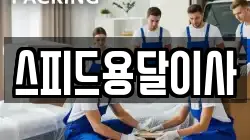 스피드용달이사