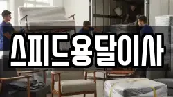 스피드용달이사