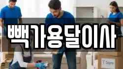 빽가용달이사