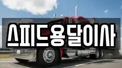 스피드용달이사