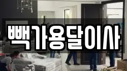 빽가용달이사
