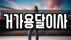 거가용달이사