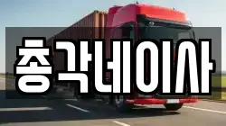 총각네이사
