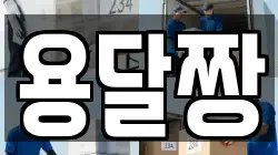 용달짱