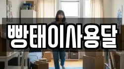 빵태이사용달