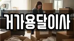 거가용달이사